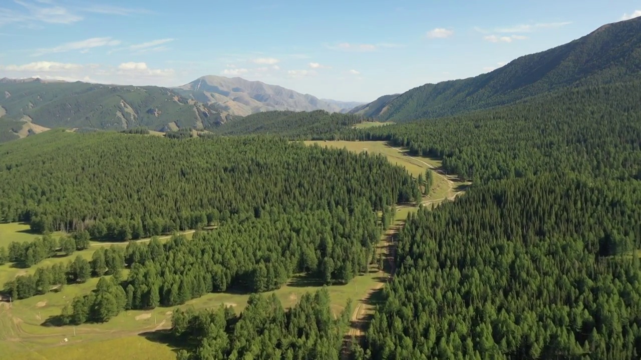 新疆哈密东天山风景区松树塘森林草原高山草甸自然景观航拍视频素材