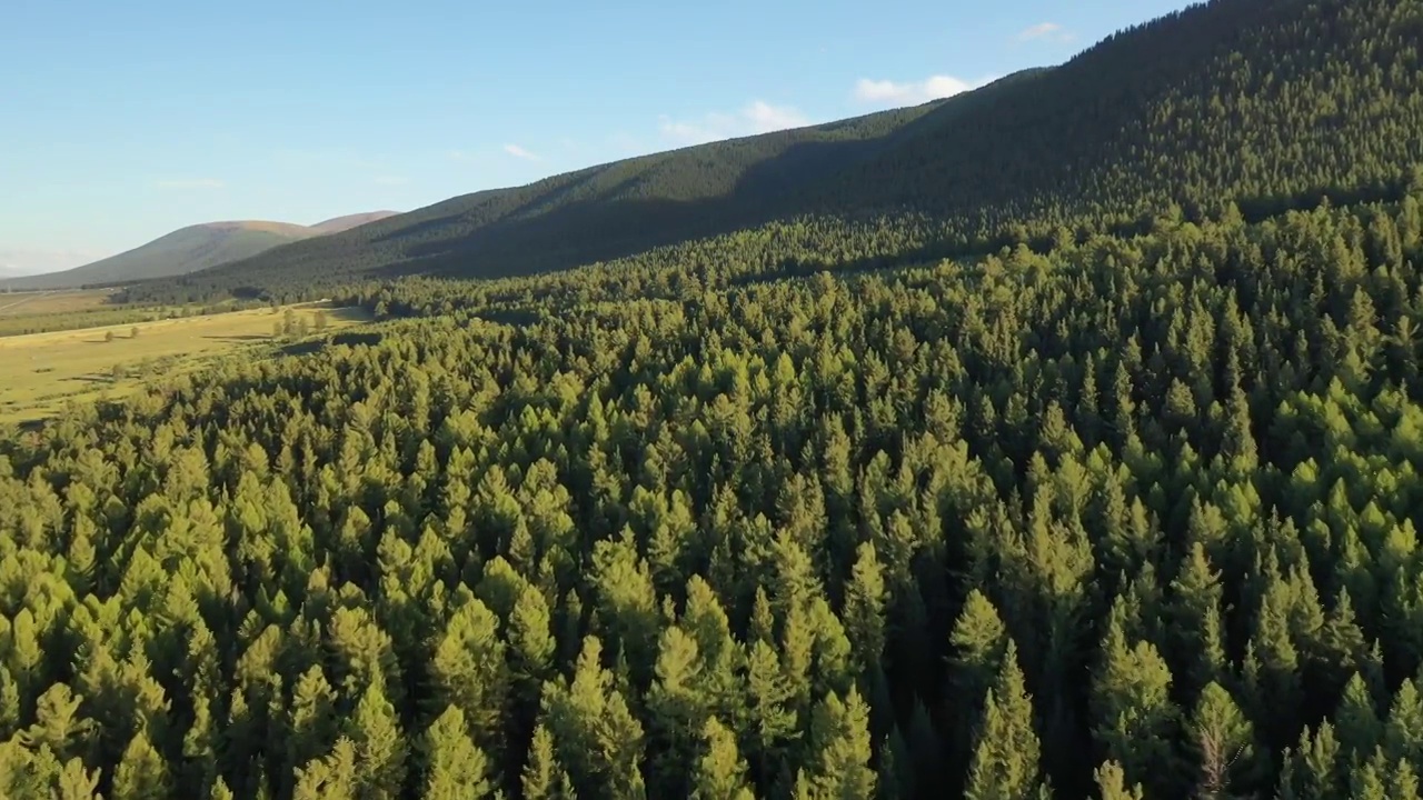 新疆哈密东天山风景区松树塘森林草原高山草甸自然景观航拍视频素材