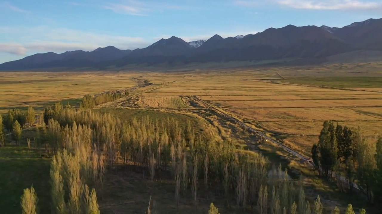 新疆哈密东天山风景区松树塘森林草原高山草甸自然景观航拍视频素材