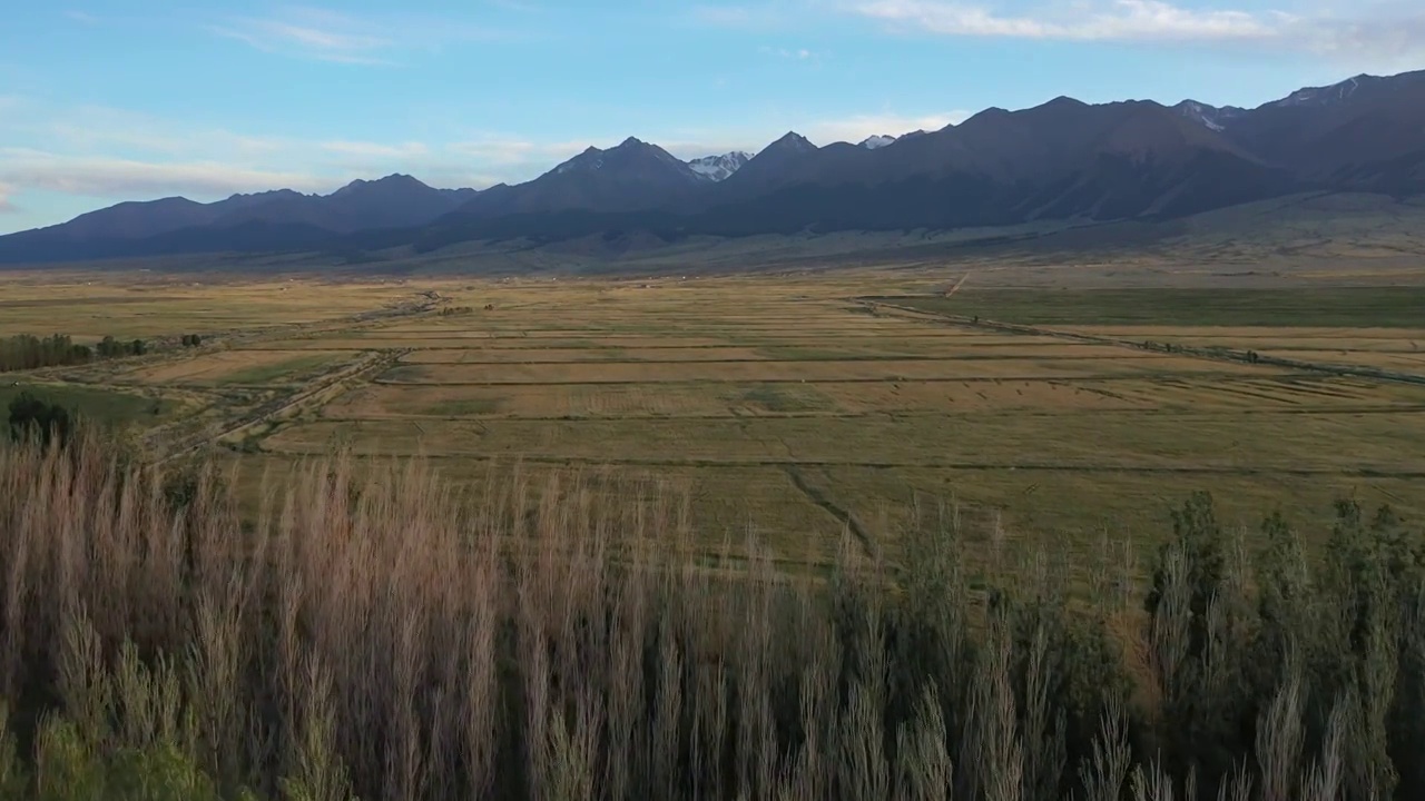 新疆哈密东天山风景区松树塘森林草原高山草甸自然景观航拍视频素材