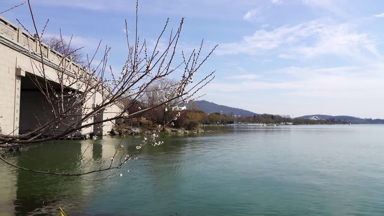 春天南京玄武湖公园，湖光山色，梅花开放视频素材