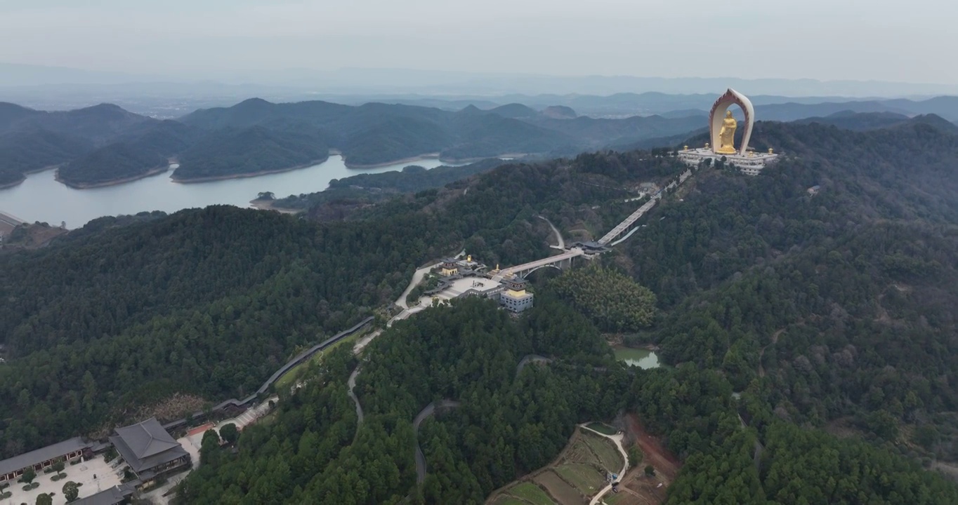 航拍江西庐山东林大佛视频素材