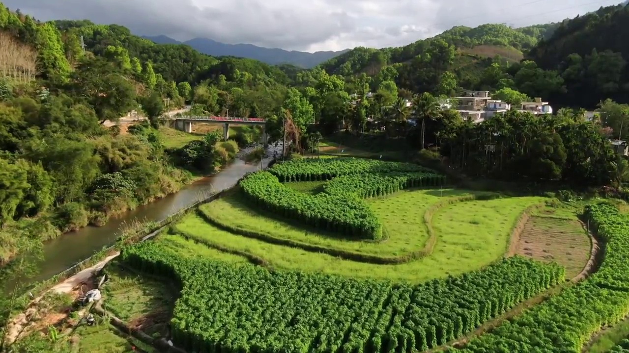 航拍海南著名的五指山自然风光视频素材