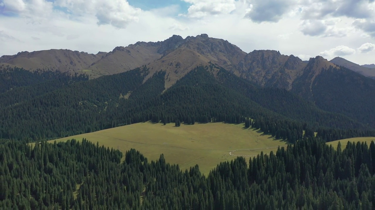 新疆江布拉克田园森林高山草甸自然景观风光航拍视频素材