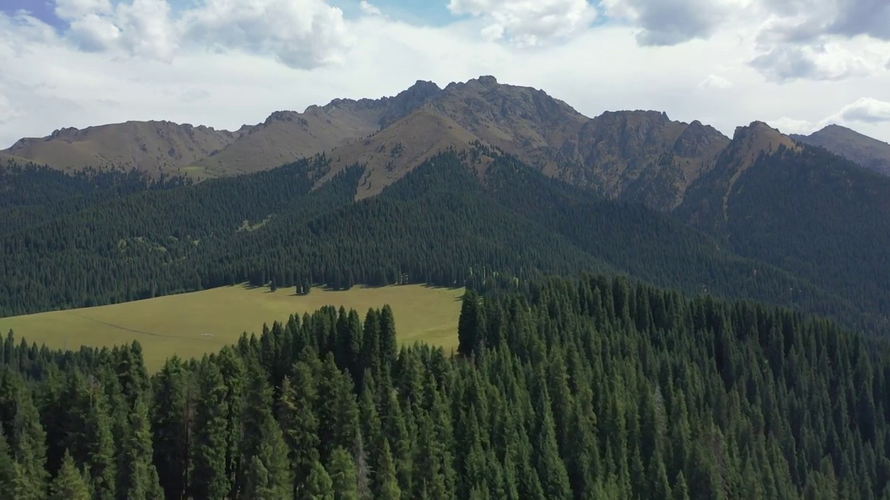 新疆江布拉克田园森林高山草甸自然景观风光航拍视频素材