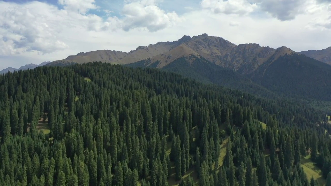 新疆江布拉克田园森林高山草甸自然景观风光航拍视频素材