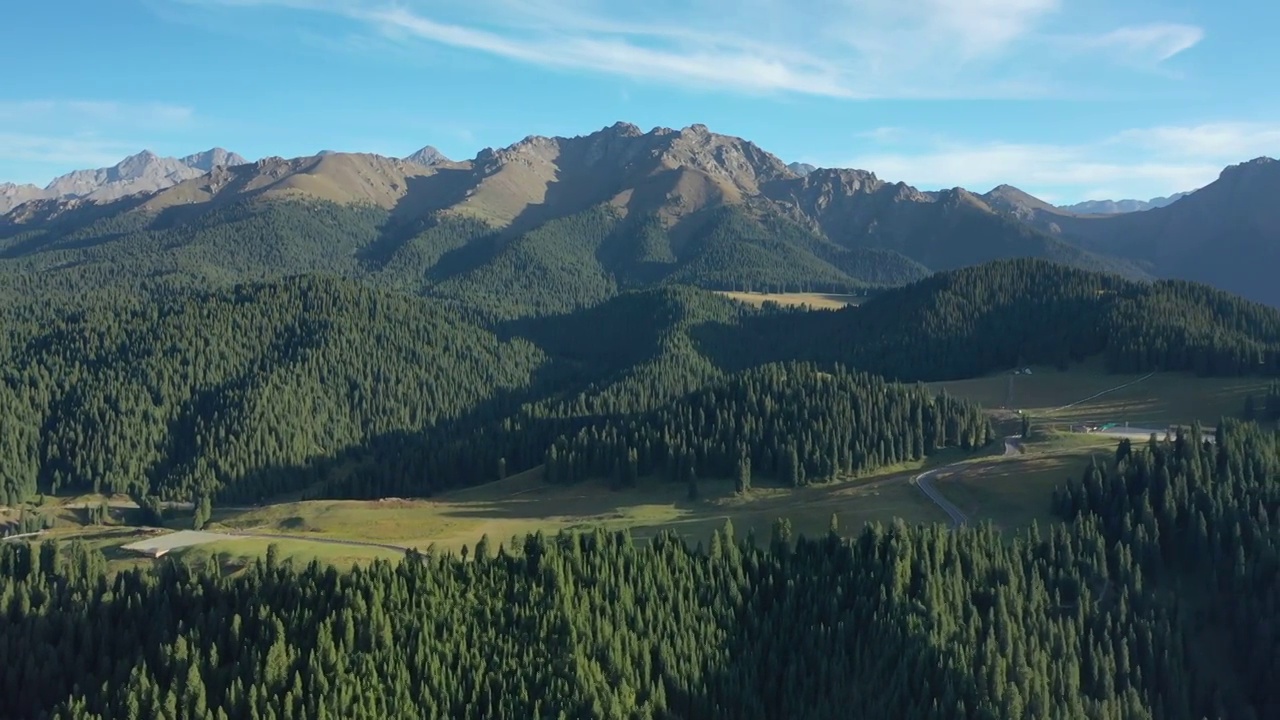 新疆江布拉克田园森林高山草甸自然景观风光航拍视频素材