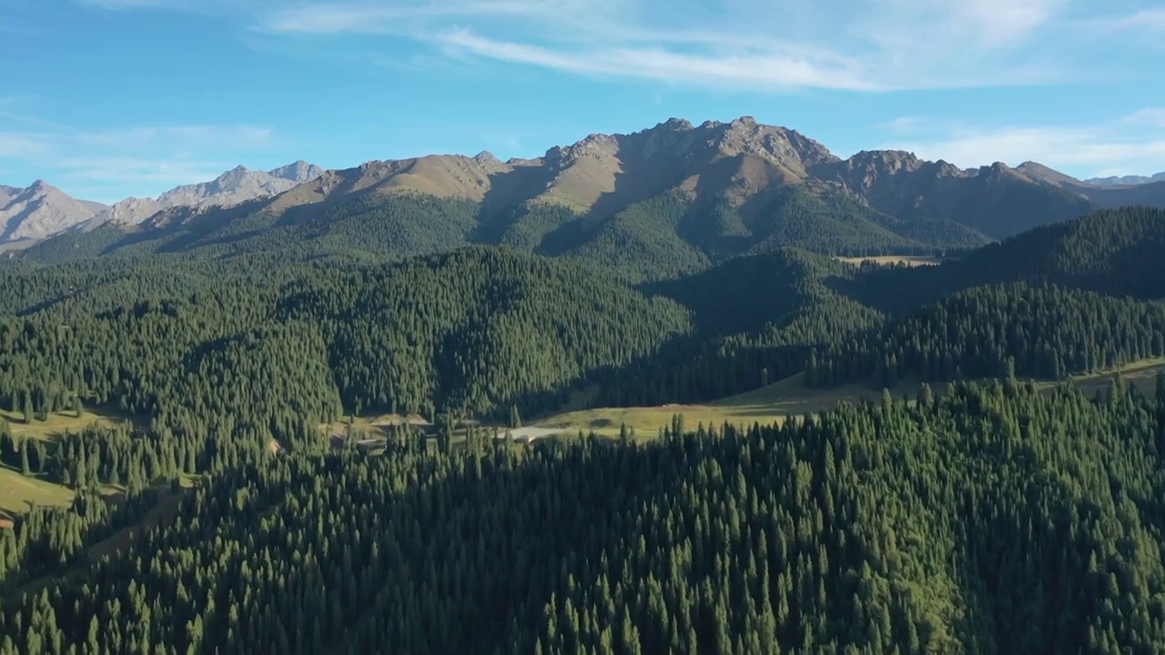 新疆江布拉克田园森林高山草甸自然景观风光航拍视频素材