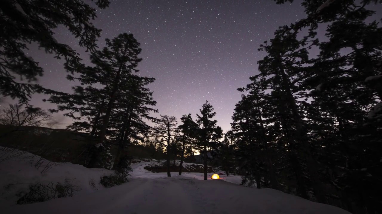 雪中森林露营星空视频素材