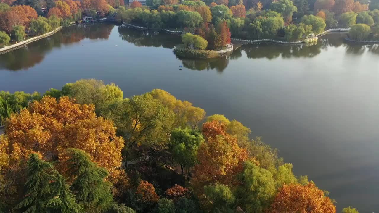 江苏省淮安市清江浦区楚秀园秋色DJI_0978视频素材