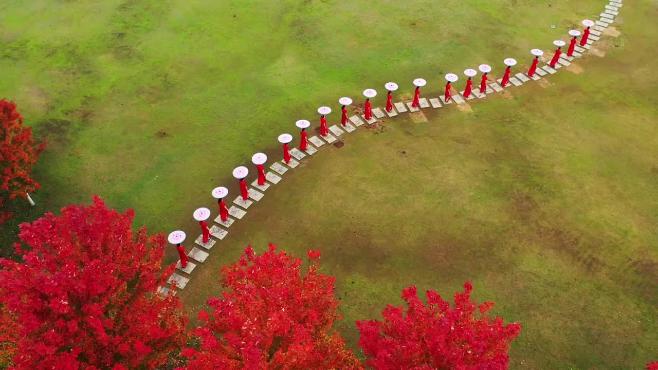 江苏省徐州市邳州市红枫公园旗袍走秀DJI_0370视频素材