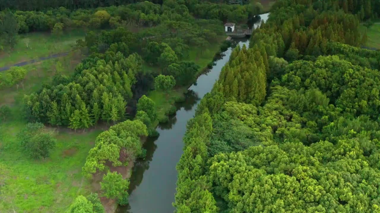 江南水乡风景视频素材