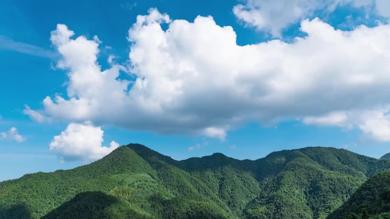 森林蓝天白云视频素材