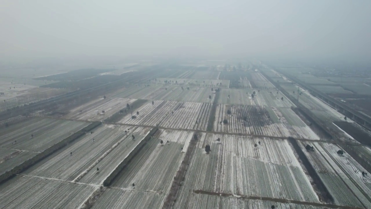 兴平市农村冬季麦田雪景视频素材