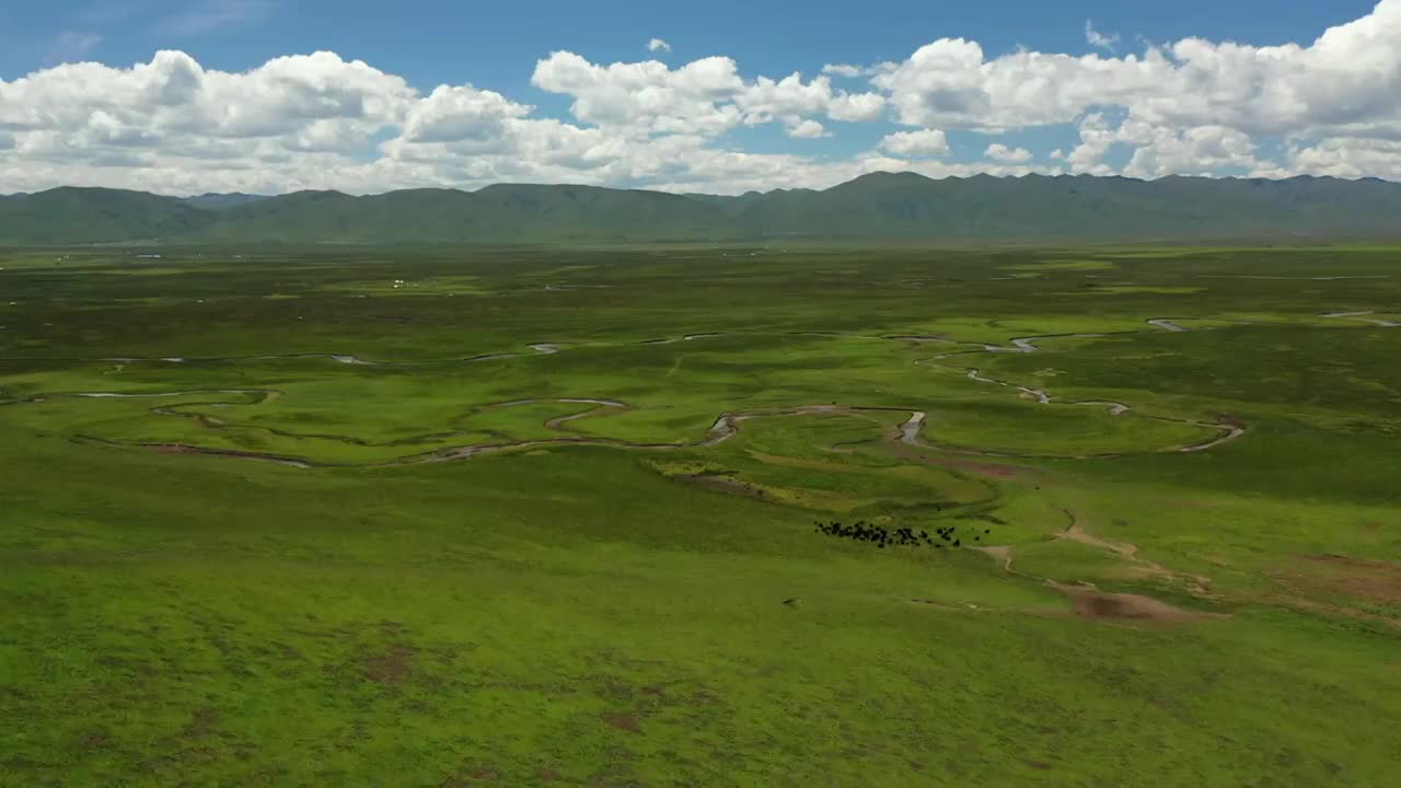 甘肃甘南州玛曲阿万仓湿地草原河流自然风光视频素材