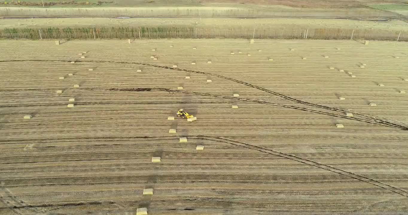 航拍呼伦贝尔垦区秋季田野风光视频素材