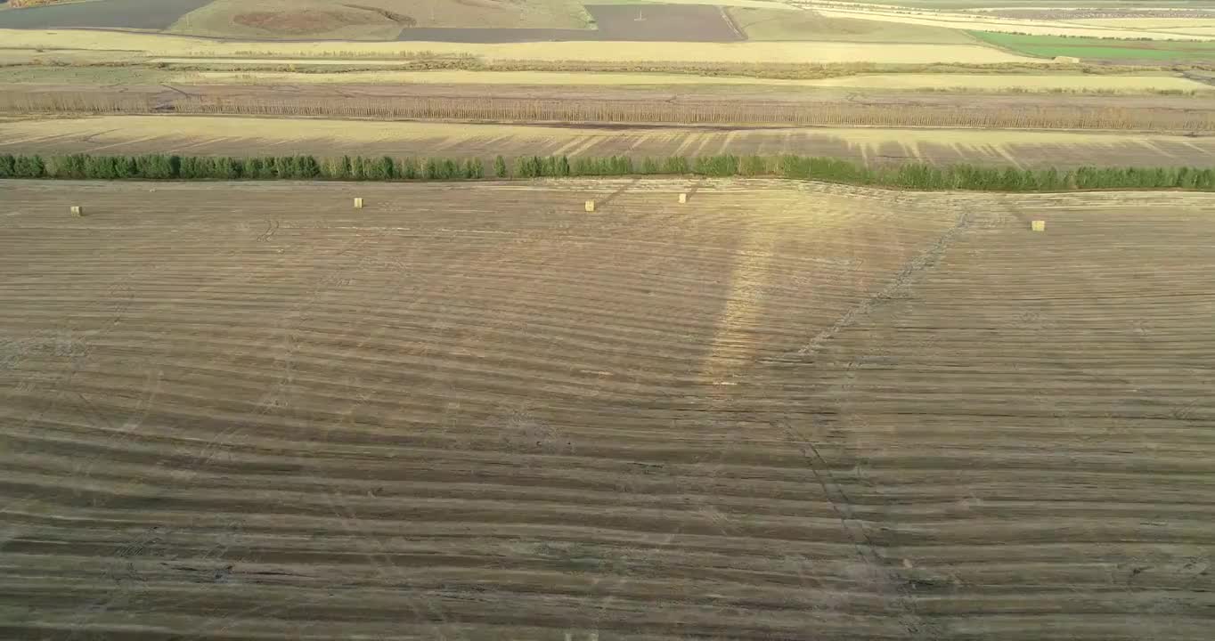 航拍呼伦贝尔垦区秋季田野风光视频素材