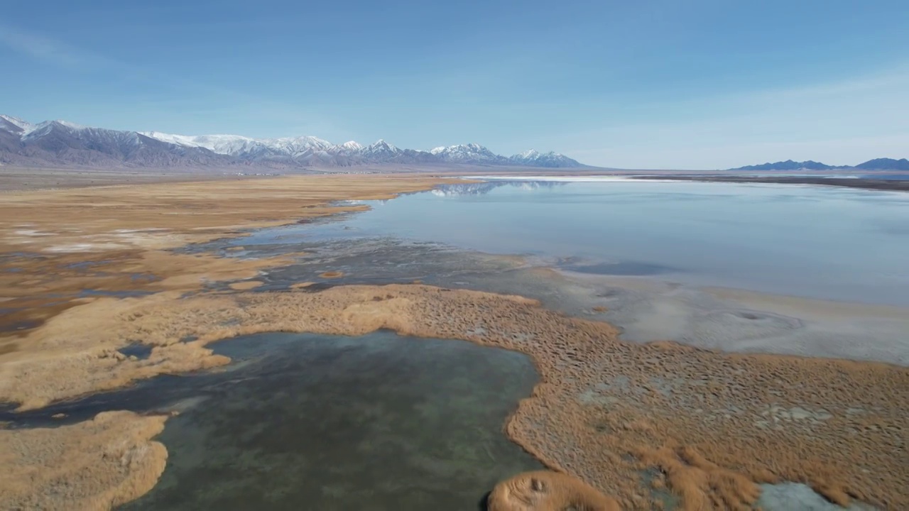 青海海西州大柴旦湖大柴达木湖泊湿地自然风光视频素材