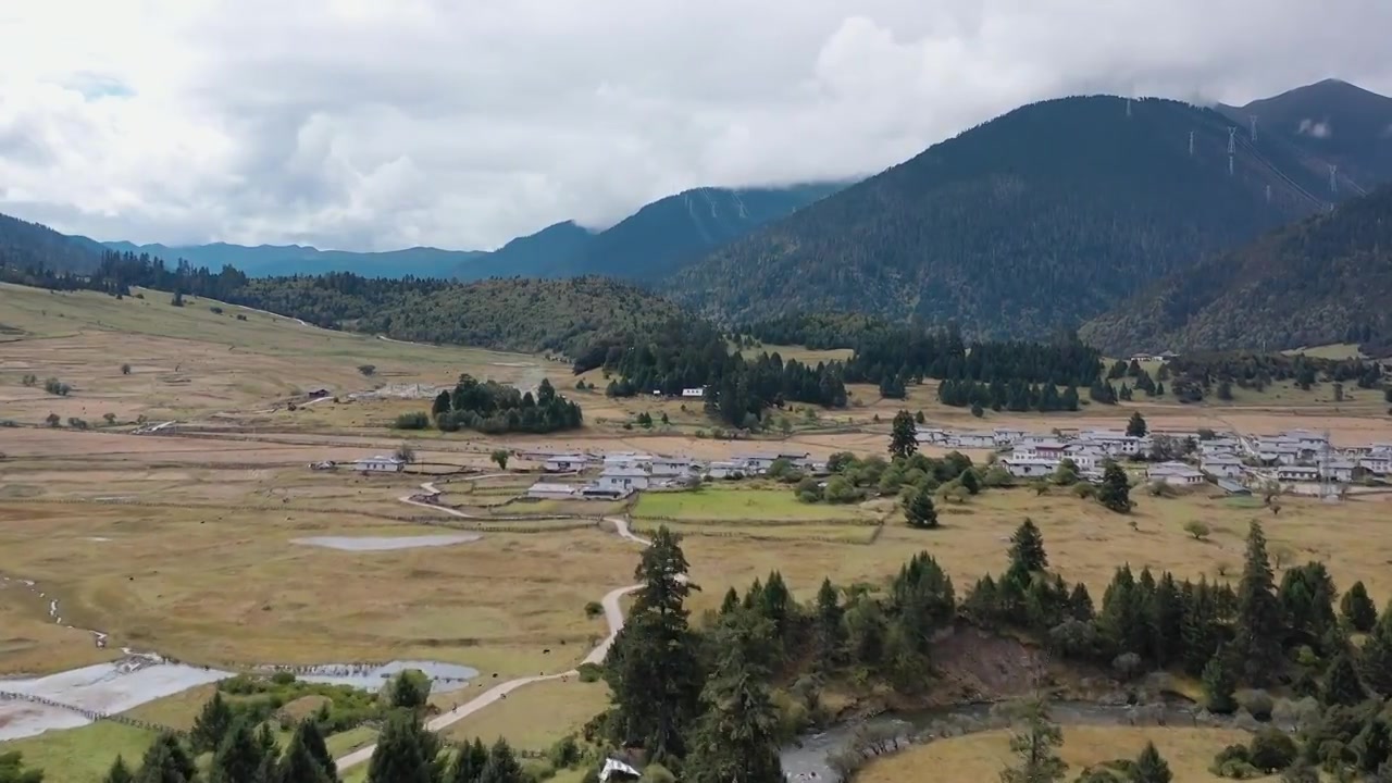 西藏林芝鲁朗风景区风光（合集）视频素材画面3