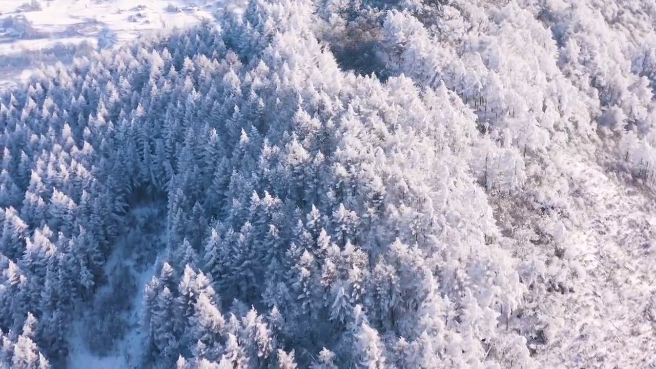 4k航拍恩施雪山雾凇风光视频素材