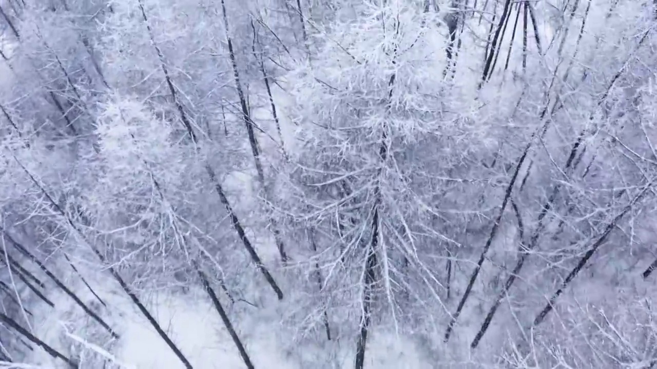 4k航拍恩施雪山雾凇风光视频素材