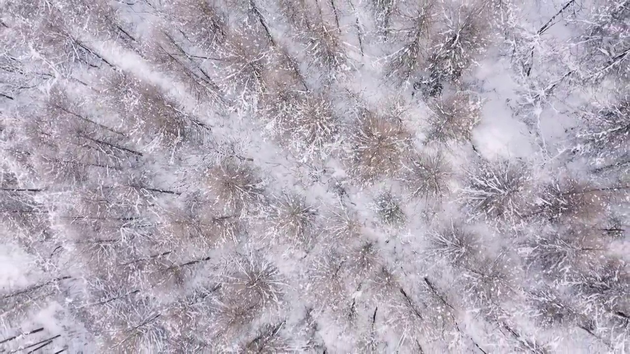 4k航拍恩施雪山雾凇风光视频素材