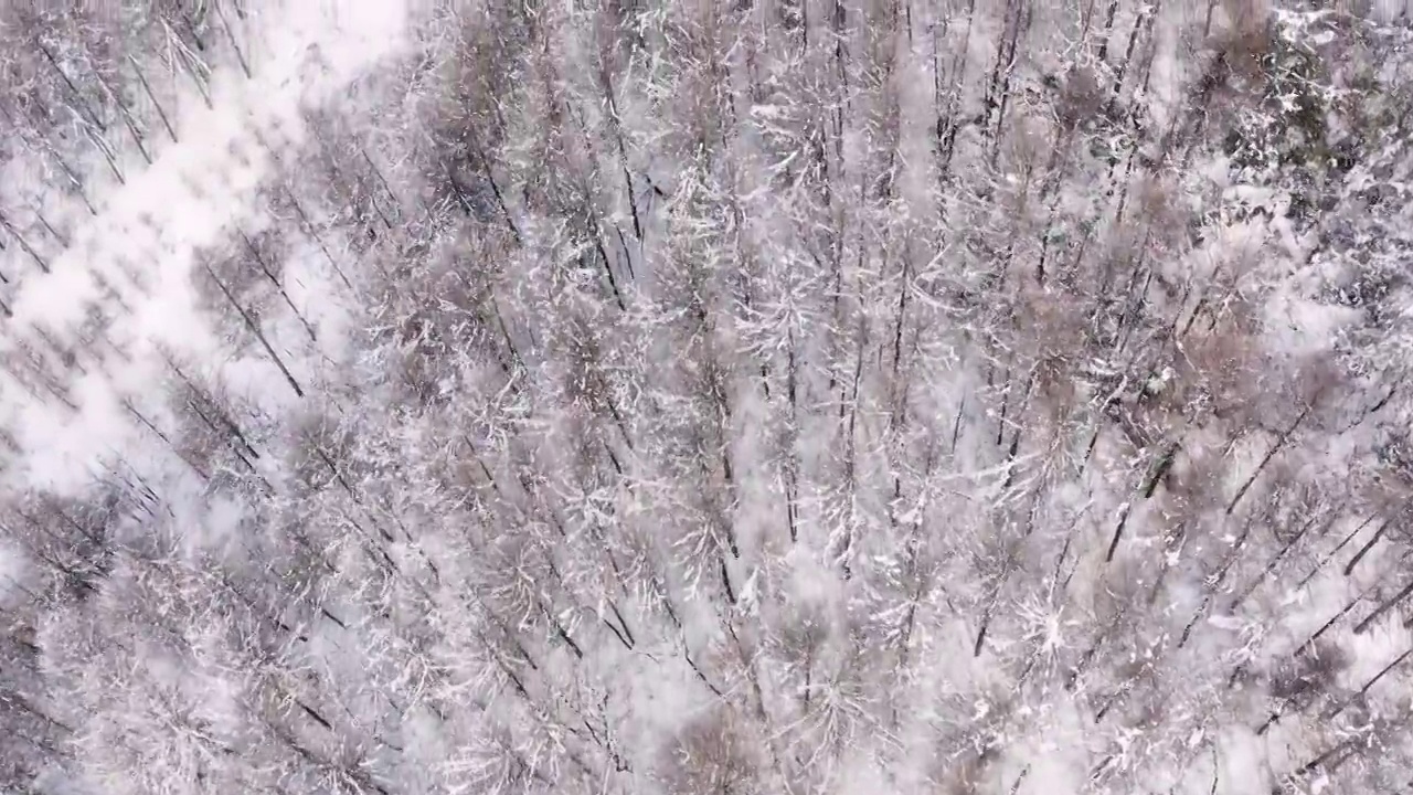 4k航拍恩施雪山雾凇风光视频素材