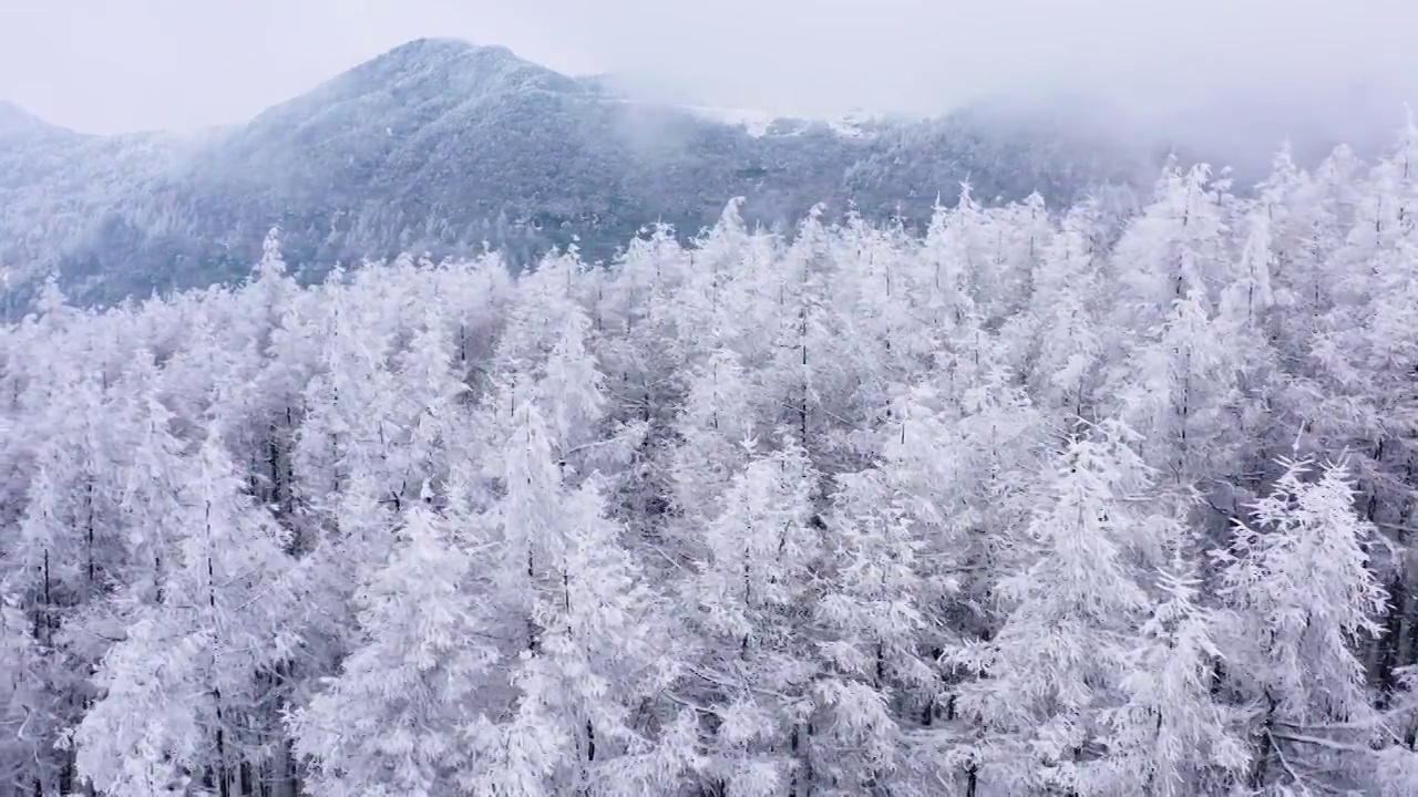 4k航拍恩施雪山雾凇风光视频素材