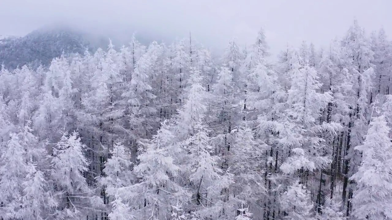 4k航拍恩施雪山雾凇风光视频素材