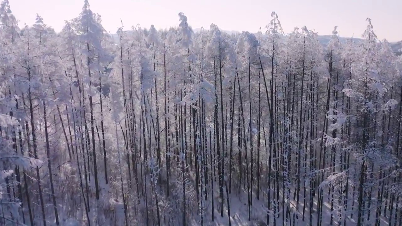 4k航拍恩施雪山雾凇风光视频素材