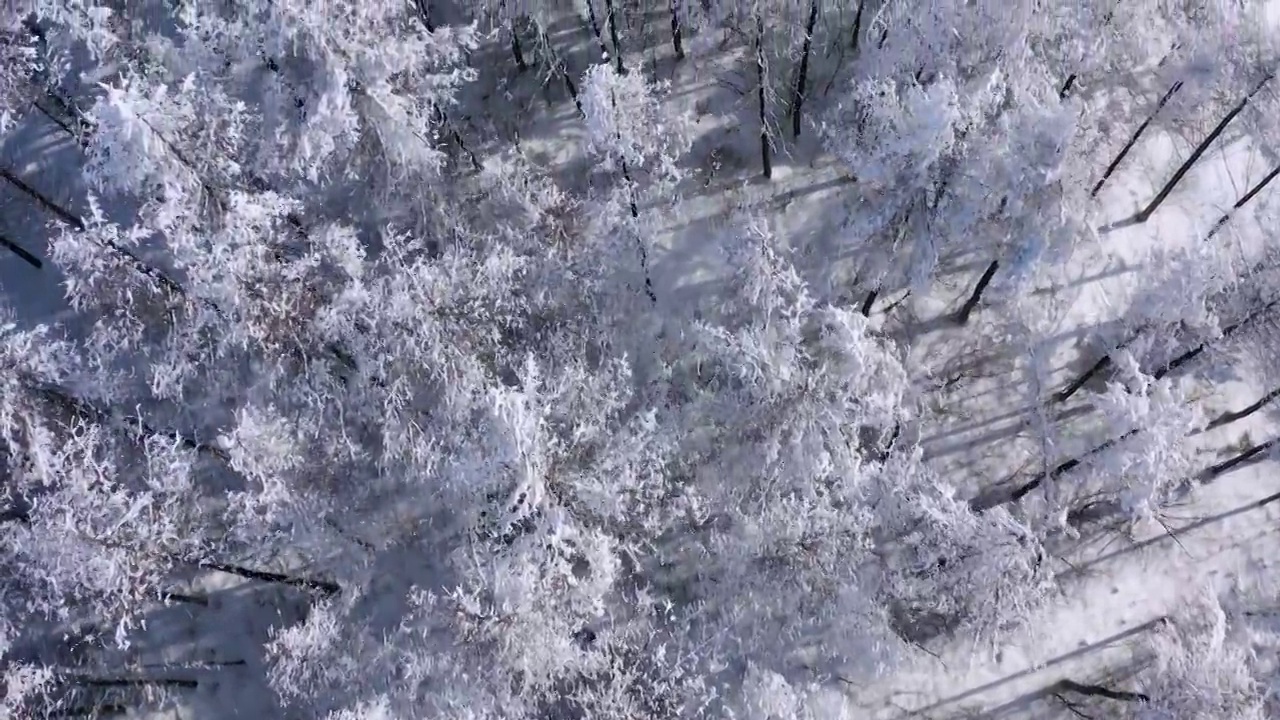 4k航拍恩施雪山雾凇风光视频素材