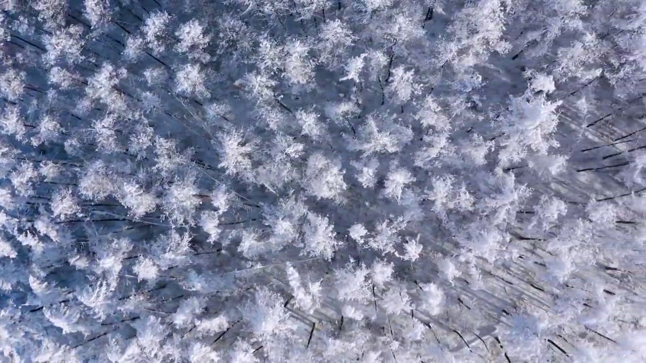 4k航拍恩施雪山雾凇风光视频素材