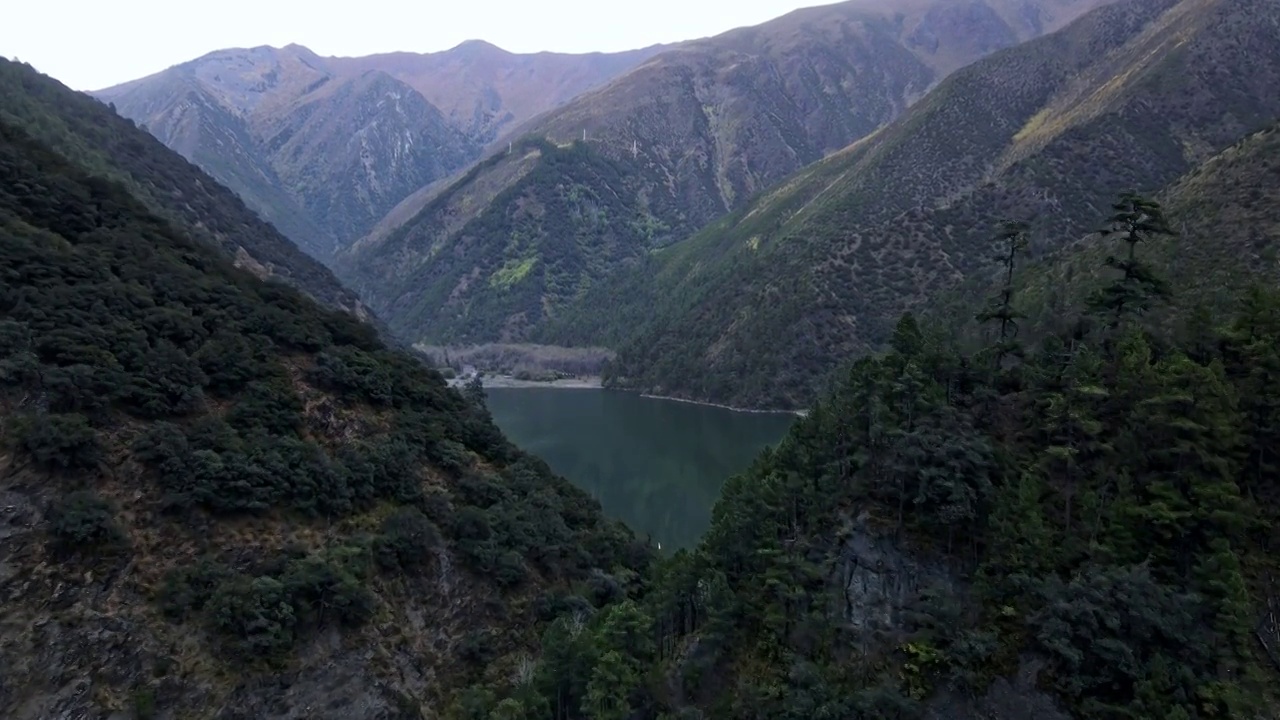 川西的原始森林湖泊视频素材