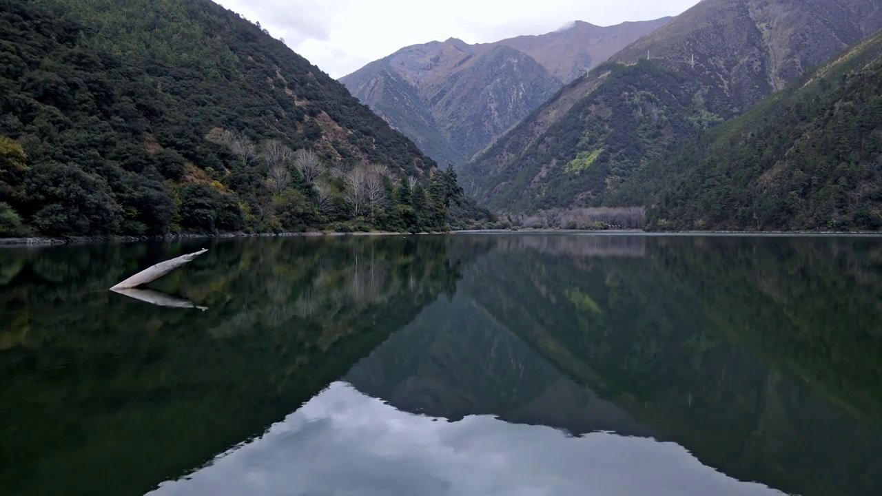 川西的原始森林湖泊视频素材