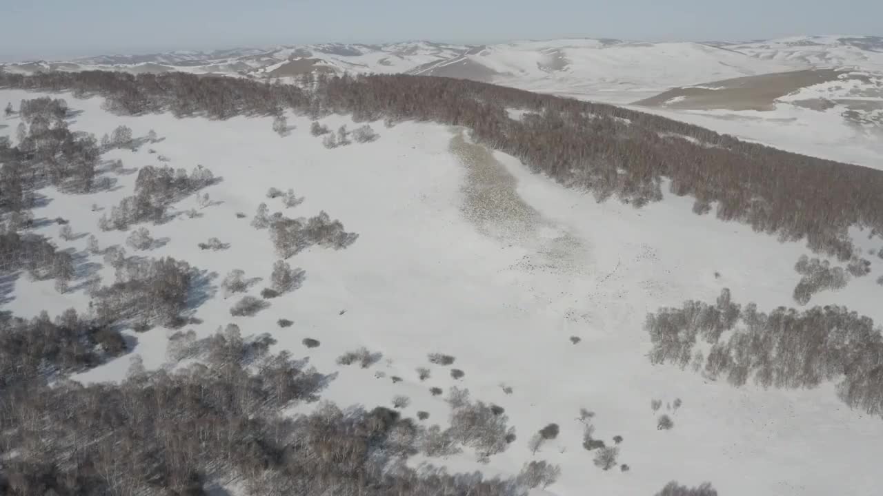 冬季草原雪景视频素材