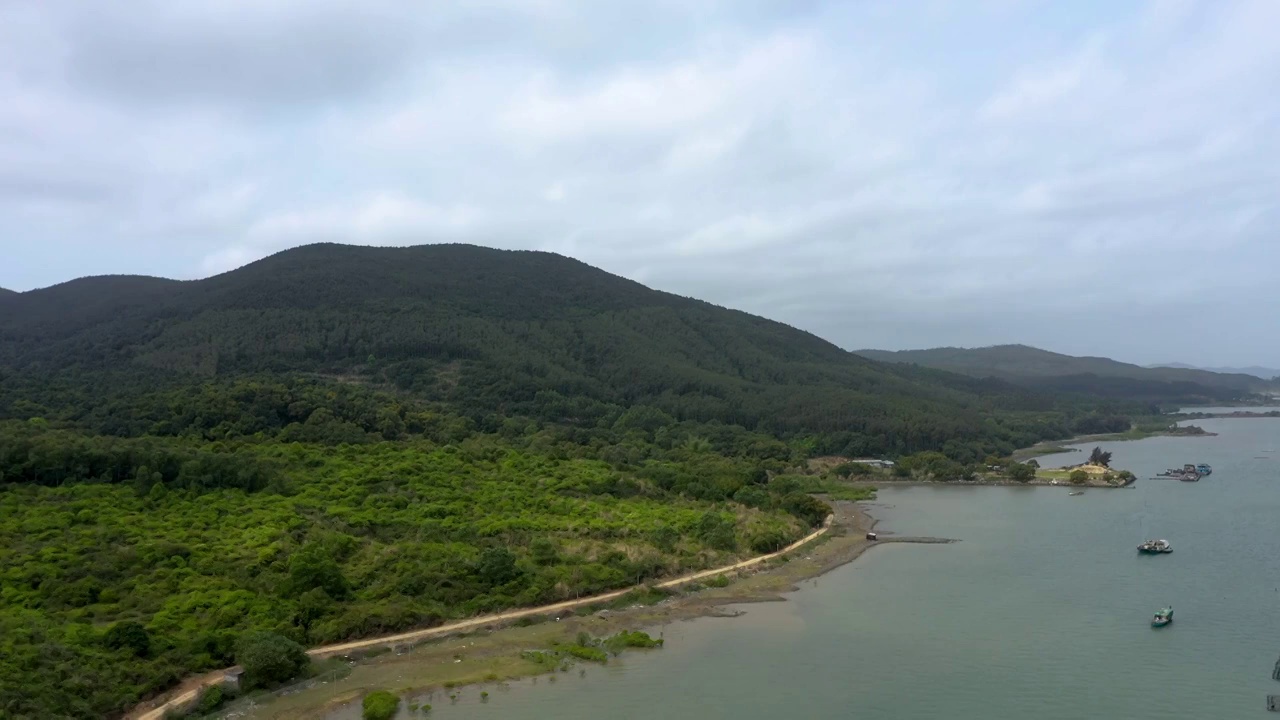 绿色森林青山丛林航拍视频素材