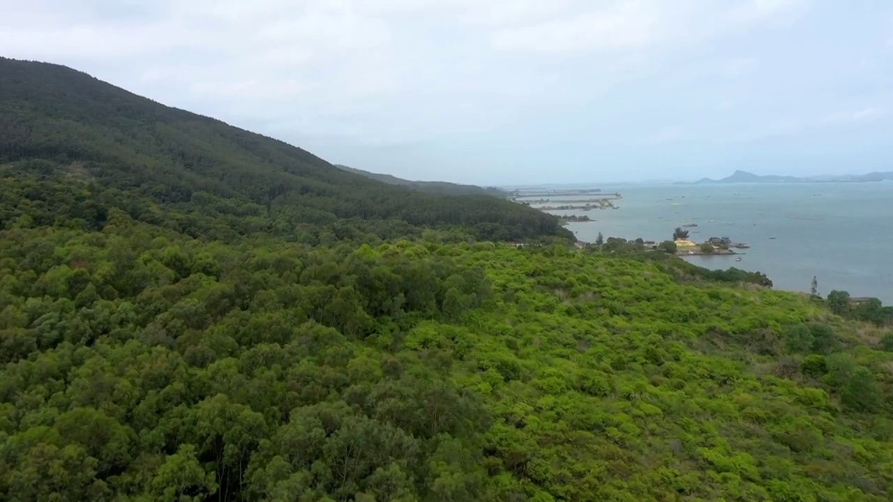 绿色森林青山丛林航拍视频素材