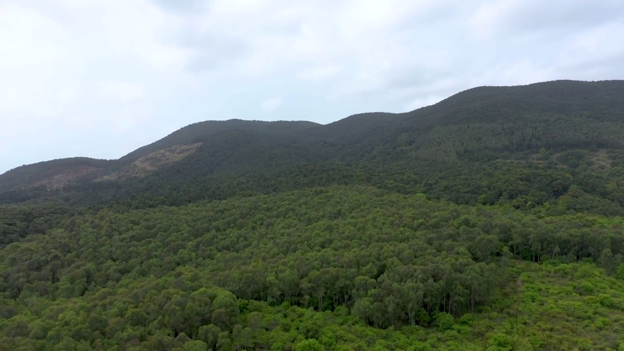 绿色森林青山丛林航拍视频素材