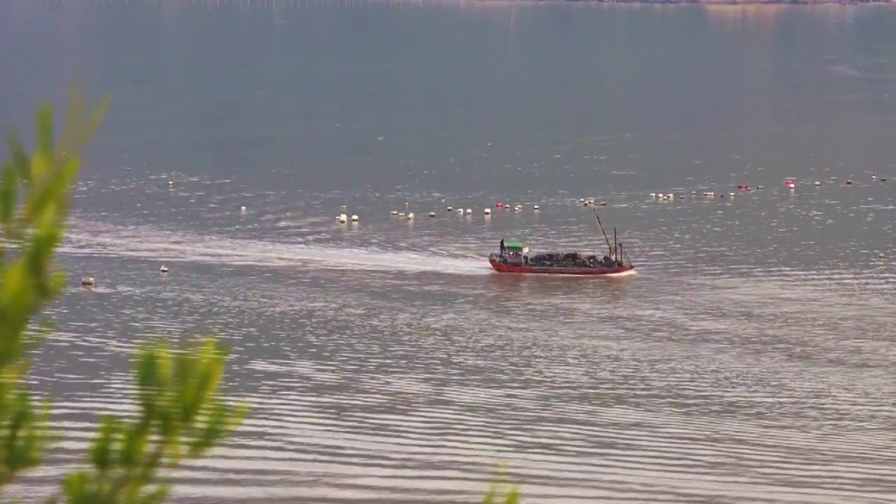 海面上正在行驶的捕鱼船视频素材