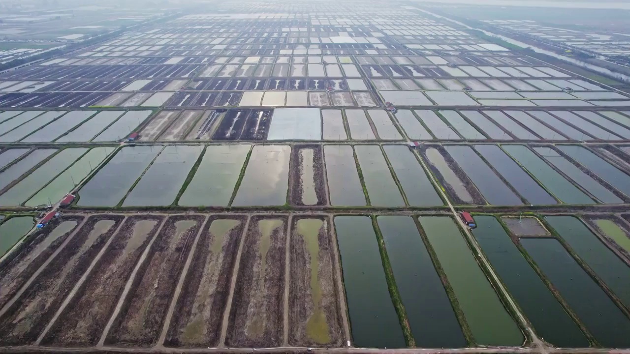 航拍鱼类养殖基地视频素材