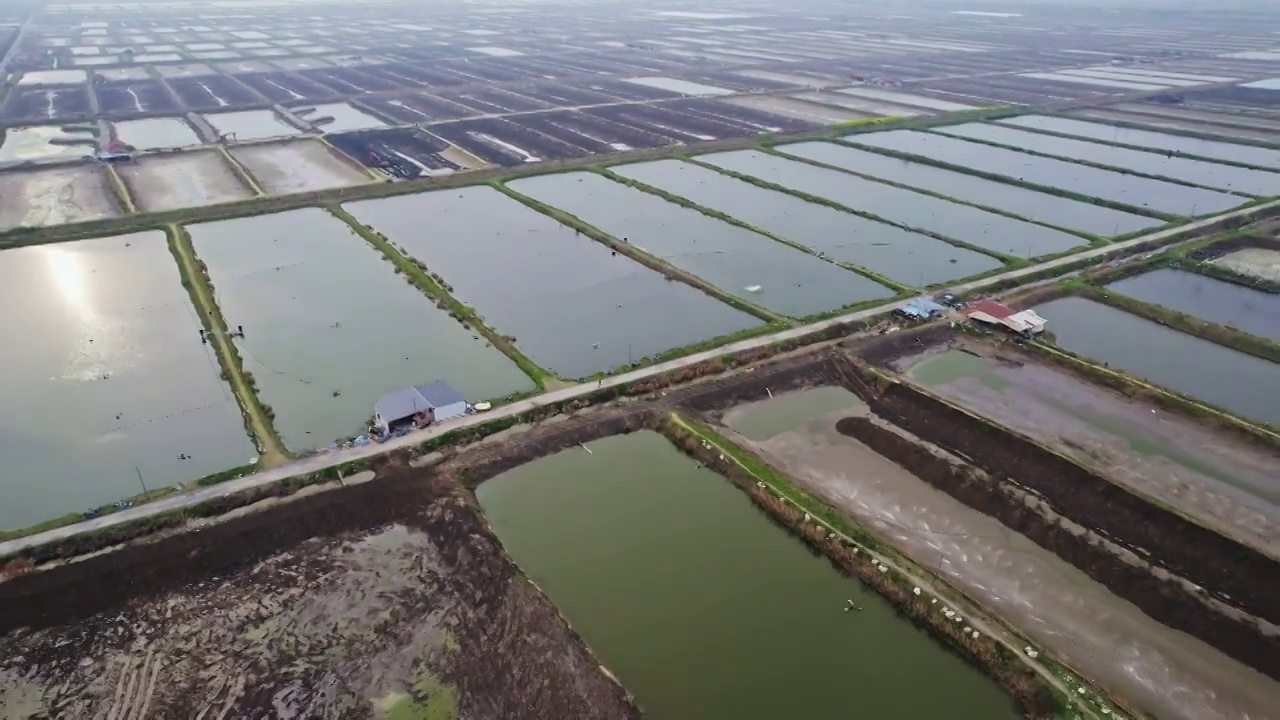 航拍鱼类养殖基地视频素材