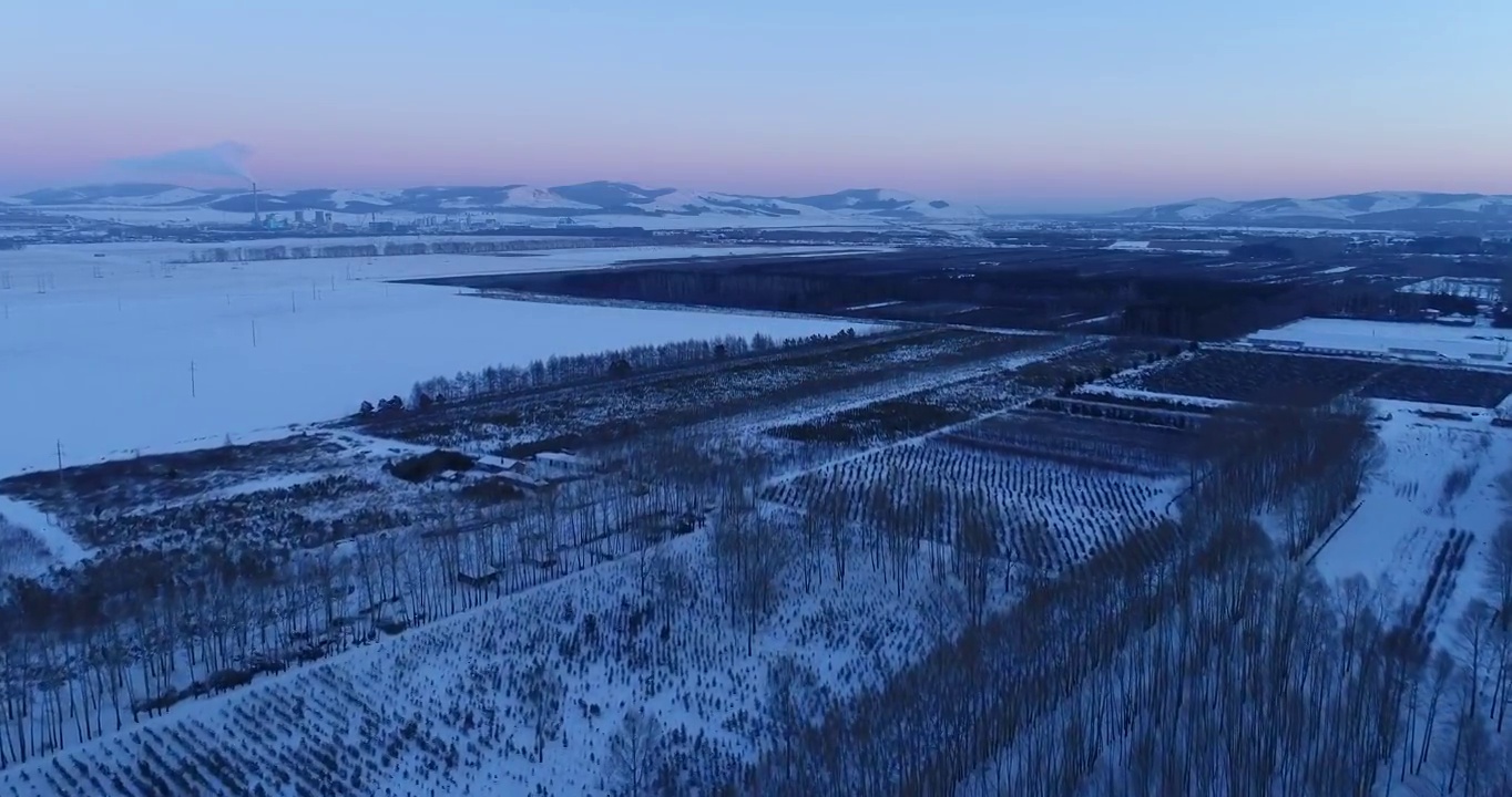 航拍内蒙古冬季雪原树林暮色视频素材