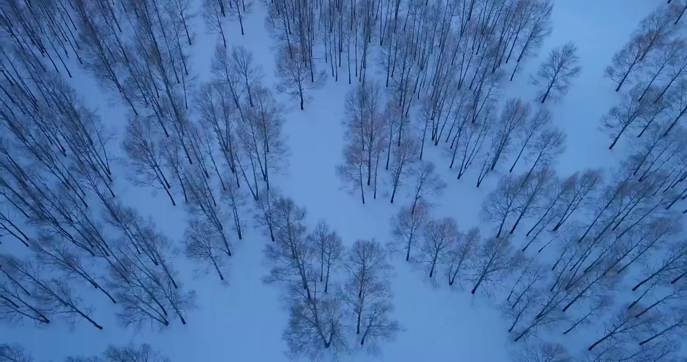 航拍内蒙古冬季雪原树林暮色视频素材