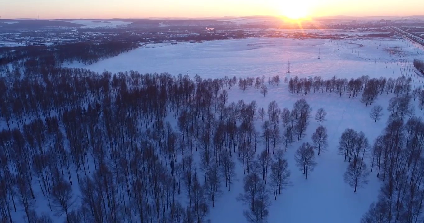 航拍内蒙古冬季雪原树林暮色视频素材