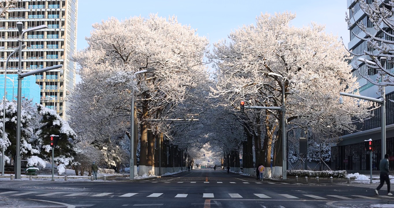 冬季北京街道两旁的雪景视频素材