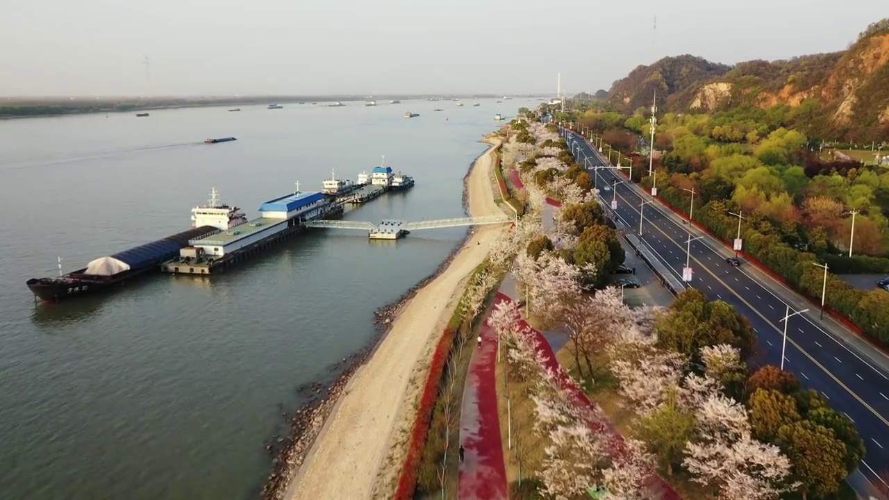 日落时分的春季南京滨江风光带，五马渡码头，樱花大道的风光视频素材