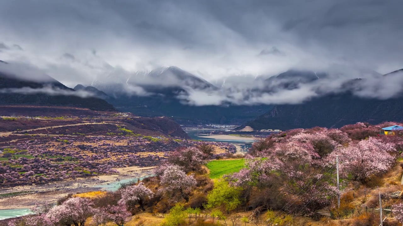 多雄拉山雪山桃花延时视频素材