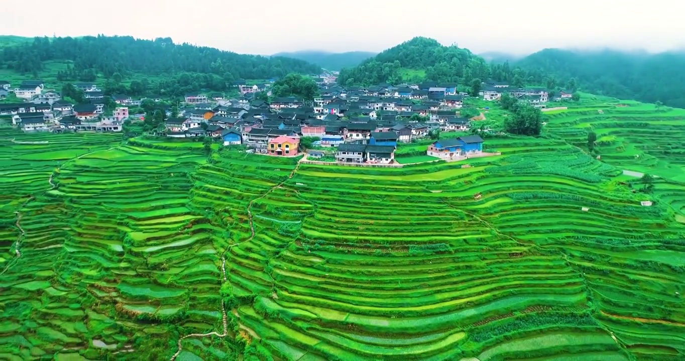 航拍贵州黔东南丹寨高要梯田航拍视频素材