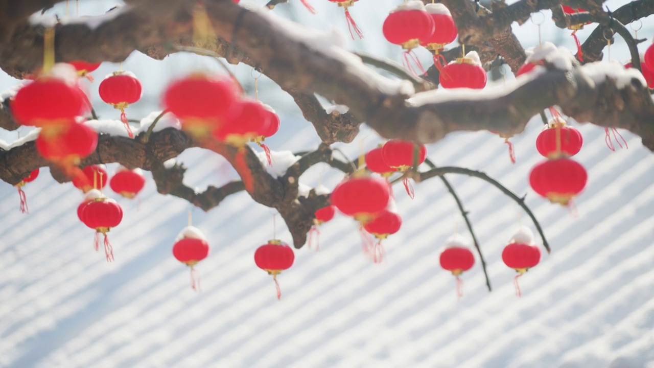 雪后颐和园视频素材