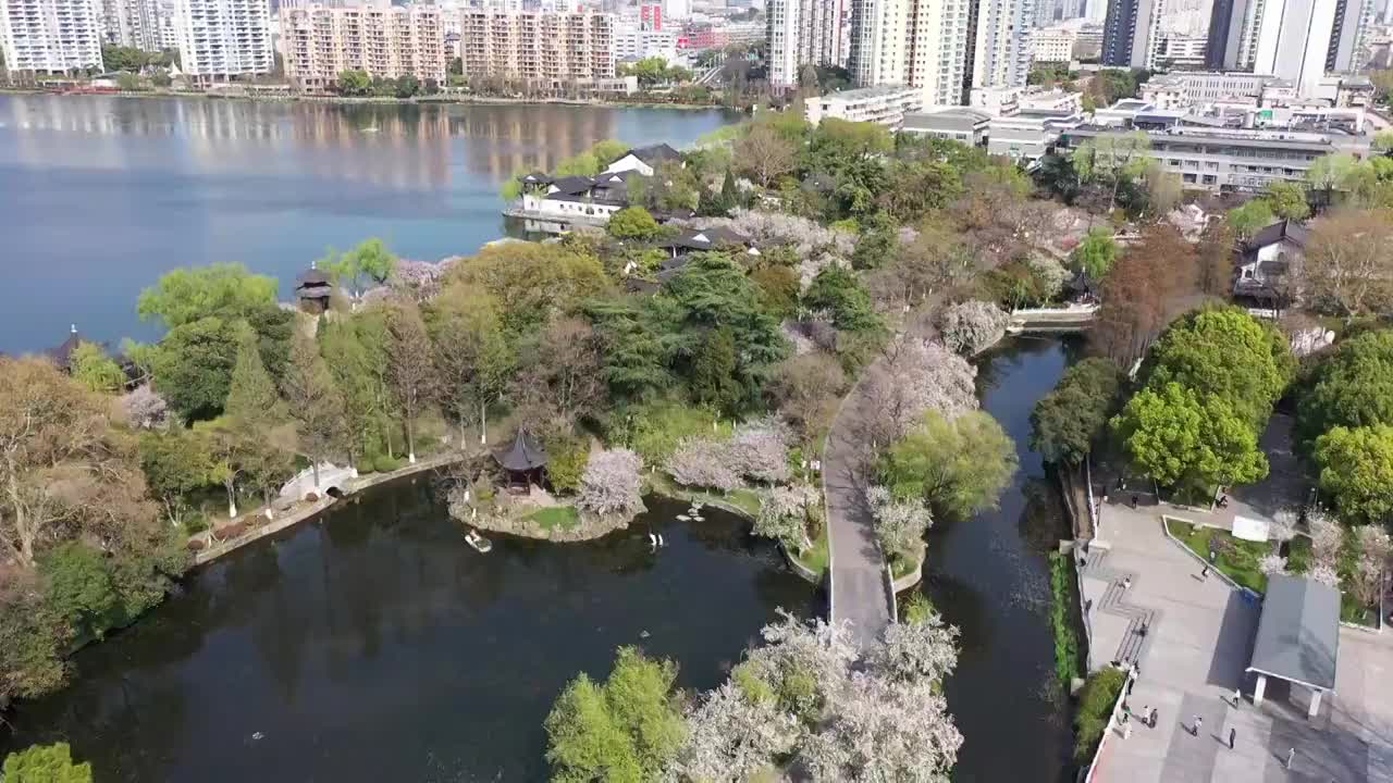 春天南京莫愁湖公园，莫愁湖，南京城市天际线的航拍风光视频素材